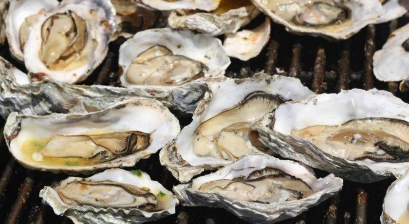英俊酒店 头顿 外观 照片