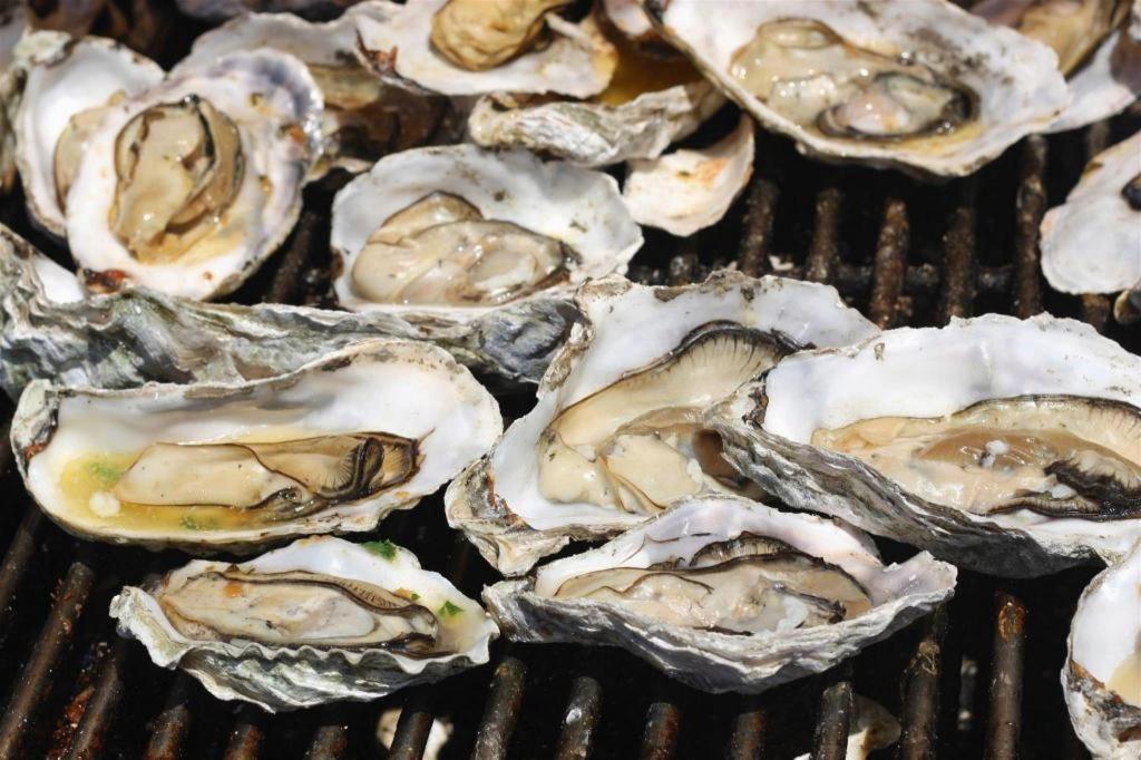 英俊酒店 头顿 外观 照片